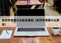 软件开发是什么职业类别（软件开发算什么职业）