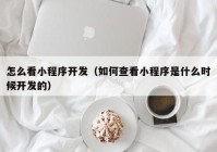 怎么看小程序开发（如何查看小程序是什么时候开发的）