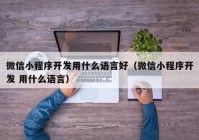 微信小程序开发用什么语言好（微信小程序开发 用什么语言）