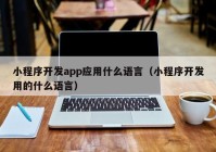 小程序开发app应用什么语言（小程序开发用的什么语言）