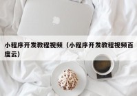 小程序开发教程视频（小程序开发教程视频百度云）