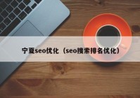 宁夏seo优化（seo搜索排名优化）