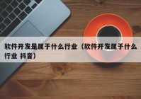 软件开发是属于什么行业（软件开发属于什么行业 抖音）