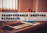 昆明金蝶软件开发有限公司（金蝶软件中国有限公司昆明分公司）