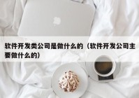 软件开发类公司是做什么的（软件开发公司主要做什么的）