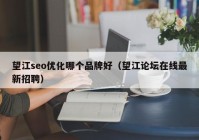 望江seo优化哪个品牌好（望江论坛在线最新招聘）