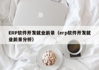 ERP软件开发就业前景（erp软件开发就业前景分析）