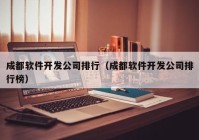 成都软件开发公司排行（成都软件开发公司排行榜）