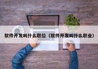 软件开发叫什么职位（软件开发叫什么职业）