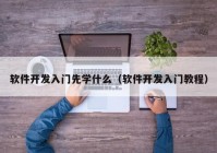 软件开发入门先学什么（软件开发入门教程）