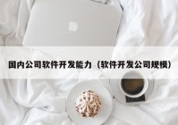 国内公司软件开发能力（软件开发公司规模）