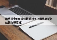 潍坊抖音seo优化快速排名（潍坊seo整站优化哪家好）