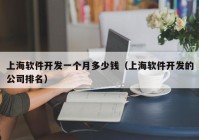 上海软件开发一个月多少钱（上海软件开发的公司排名）