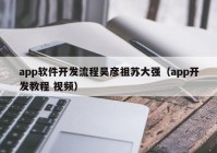 app软件开发流程吴彦祖苏大强（app开发教程 视频）