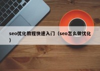 seo优化教程快速入门（seo怎么做优化）