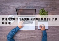 软件开发属于什么费用（软件开发属于什么费用科目）