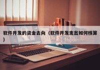 软件开发的资金去向（软件开发支出如何核算）