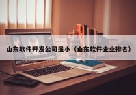 山东软件开发公司虽小（山东软件企业排名）