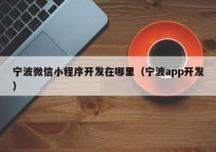 宁波微信小程序开发在哪里（宁波app开发）