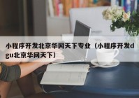 小程序开发北京华网天下专业（小程序开发dgu北京华网天下）