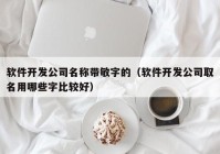 软件开发公司名称带敏字的（软件开发公司取名用哪些字比较好）