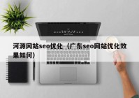 河源网站seo优化（广东seo网站优化效果如何）