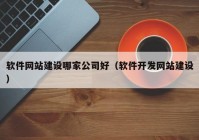 软件网站建设哪家公司好（软件开发网站建设）