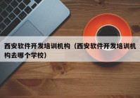 西安软件开发培训机构（西安软件开发培训机构去哪个学校）