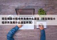 现在微信小程序开发用什么语言（现在微信小程序开发用什么语言开发）