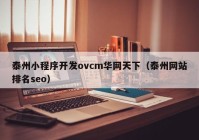 泰州小程序开发ovcm华网天下（泰州网站排名seo）