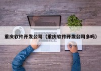 重庆软件开发公司（重庆软件开发公司多吗）