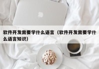 软件开发需要学什么语言（软件开发需要学什么语言知识）