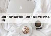 软件开发的前景如何（软件开发这个行业怎么样）