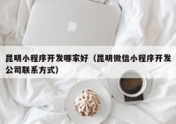 昆明小程序开发哪家好（昆明微信小程序开发公司联系方式）