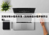 沈阳分销小程序开发（沈阳微信小程序制作公司）