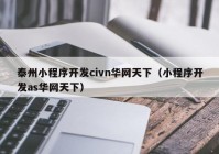 泰州小程序开发civn华网天下（小程序开发as华网天下）