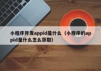 小程序开发appid是什么（小程序的appid是什么怎么获取）