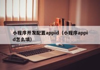 小程序开发配置appid（小程序appid怎么填）