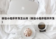 微信小程序开发怎么样（微信小程序程序开发）