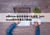 windows软件开发用什么语言（windows软件开发入门教程）